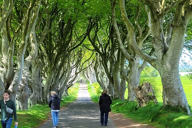 4 Hours Private Belfast City Tours - Stormont and Northern Ireland’s political center