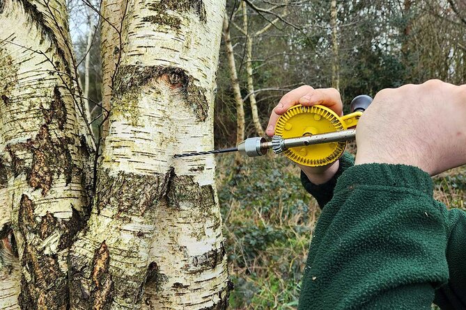 Adult Foraging Walk & Bushcraft Cookery Course for Beginners - A beginner-friendly introduction to wild food
