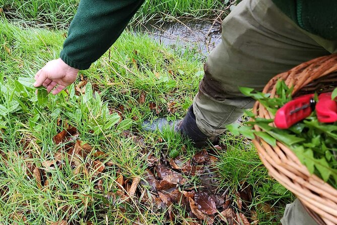 Adult Foraging Walk & Bushcraft Cookery Course for Beginners - Who will enjoy this most