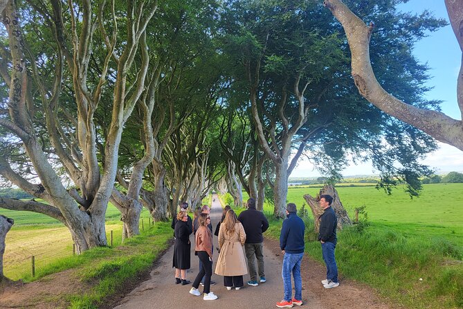 Belfast & Giants Causeway Luxury Mercedes Private Tour for 6 pax - What the $1,224.87 price really buys