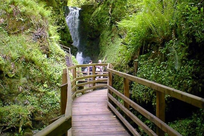 Experience the Antrim Coast and the Land of Giants - Private Tour - The Dark Hedges brings a film set into the countryside