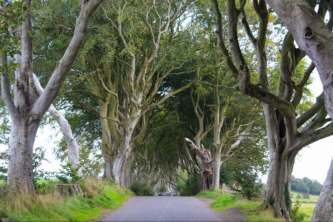 Experience the Antrim Coast and the Land of Giants - Private Tour - Ballintoy Harbour supplies a rugged final scene