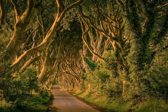 From Belfast-Giants Causeway, Dunluce Castle and Dark Hedges tour - Giant’s Causeway: the reason to book