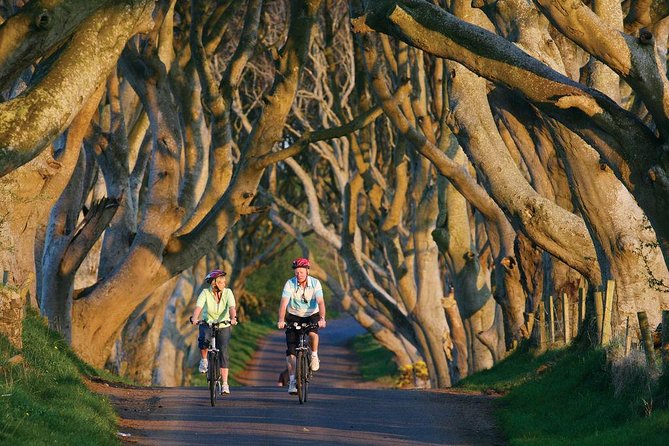 From Belfast-Giants Causeway, Dunluce Castle and Dark Hedges tour - Food, bathrooms, and what to carry