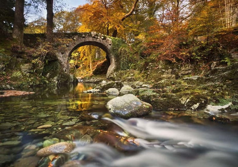 From Newcastle: Game of Thrones Tollymore Forest Trek - Guide Lar and the personal side of the tour