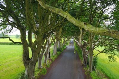 Full-Day Private Giant’s Causeway Experience
