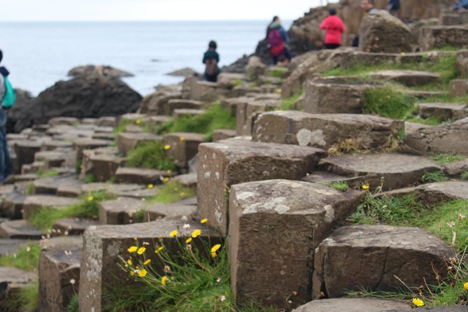 Game of Thrones and Giant's Causeway Day Tour from Belfast - Dunluce Castle and the Greyjoy connection