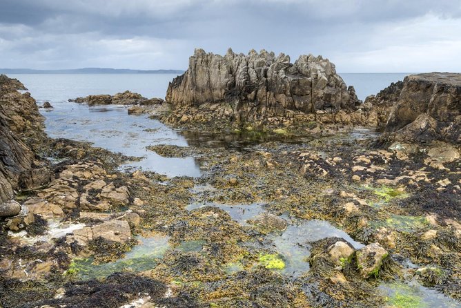 Game of Thrones and Giant's Causeway Full-Day Tour from Belfast - Why this tour works for a Belfast day out