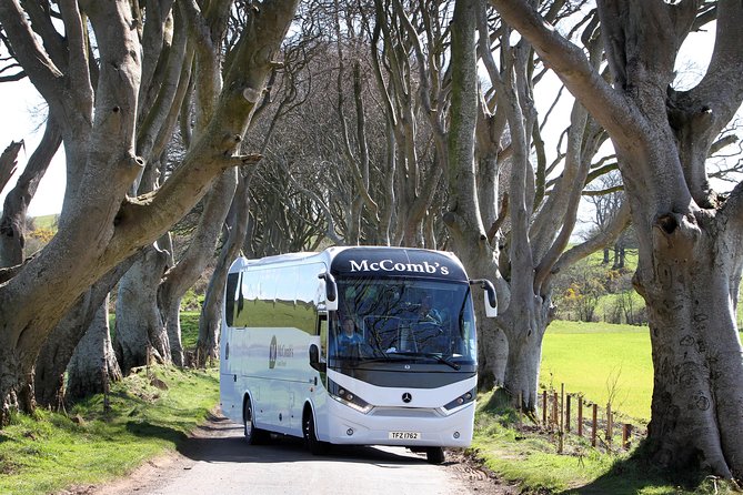 Game of Thrones and Giant's Causeway Full-Day Tour from Belfast - The Dark Hedges and the reality of a famous photo stop