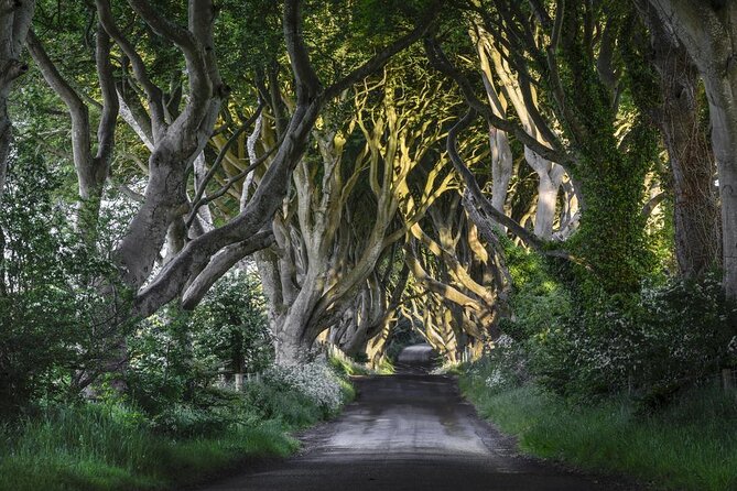 Game of Thrones - Private Audi A6 tour with Richard the Wildling - Key points to know before booking