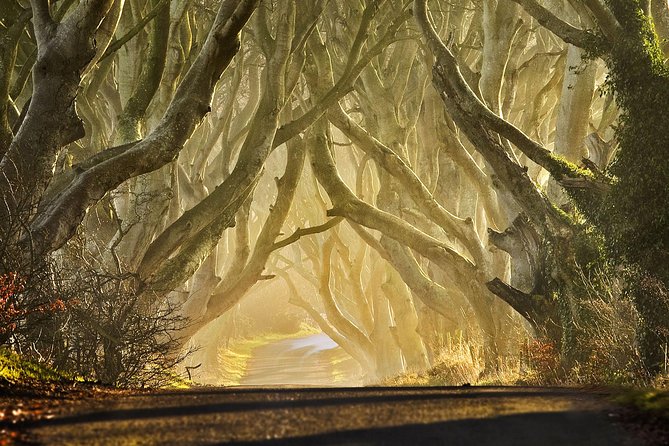 Game of Thrones - Private Audi A6 tour with Richard the Wildling - Cushendun Caves and the shadow assassin