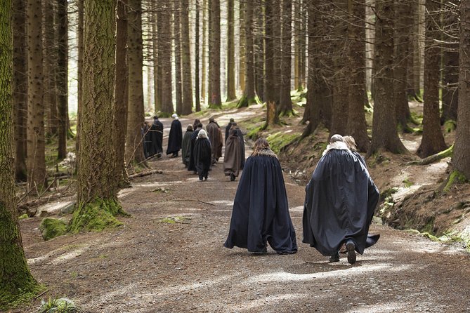 Game of Thrones - Tollymore Forest Trek - Key points to know before booking
