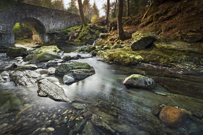 Game of Thrones - Tollymore Forest Trek - Who will enjoy this forest trek most?