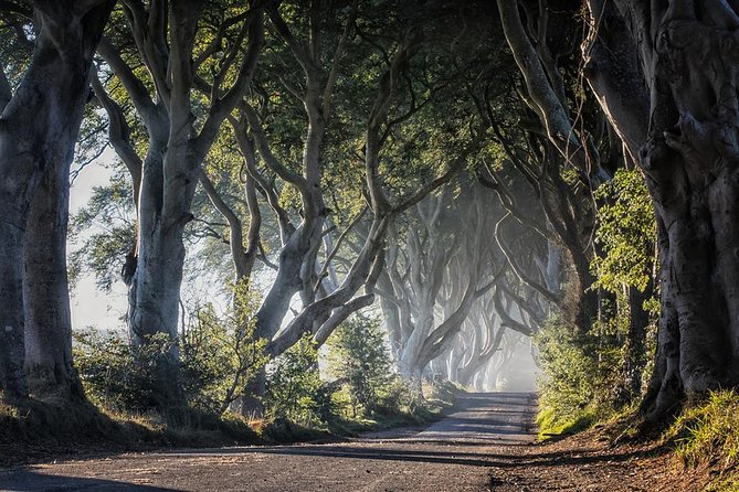 Giant's Causeway and more including Titanic Experience Ticket Tour from Belfast - How the tour handles delays and changes