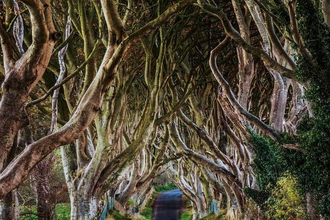 Giant's Causeway Full Day Tour from Belfast - What $47.93 gets you