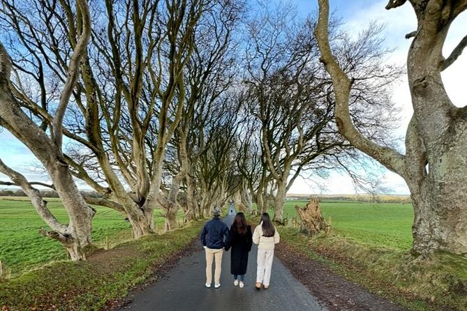 Giant’s Causeway, Luxury Private Tour from Belfast, 1-7 people - Carrick-a-Rede adds a real thrill