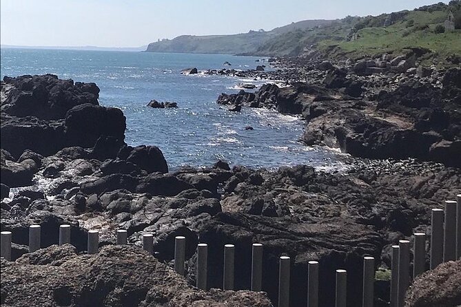 Giants Causeway ~ one stop tour - A direct route to Giant’s Causeway