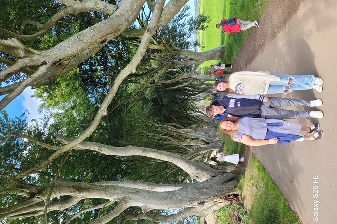 Giants causeway private tour 1 to 7 people - Carrick-a-Rede and the rope above the rocks