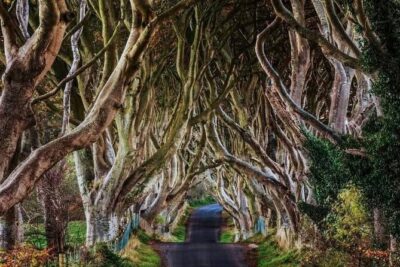 Giants Causeway Private Tour