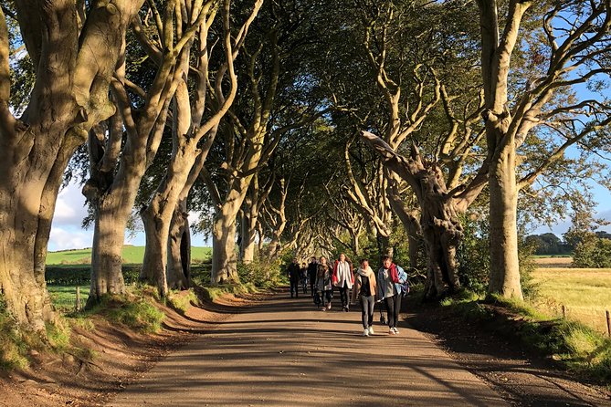 Giants Causeway, Rope Bridge, Carrickfergus Castle and Dark Hedges Tour - Dark Hedges, filming fame, and the lunch problem