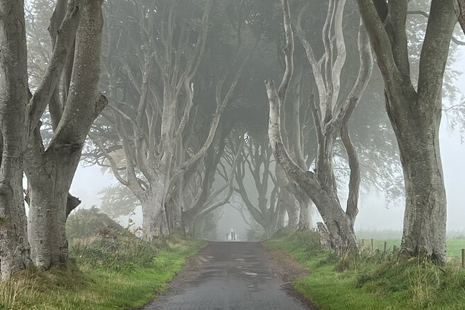 Giants Causeway Tour from Belfast in luxury 7 seater - Two hours at Giant’s Causeway