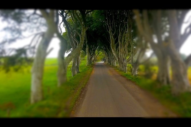 Guided Day Tour of Giant's Causeway from Belfast by Comfortable Coach - Bushmills Distillery and a short whiskey stop