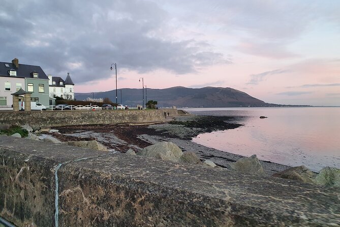 Ireland North Coast MEGA Trip for up to 8 Passengers - The private price makes sense for eight
