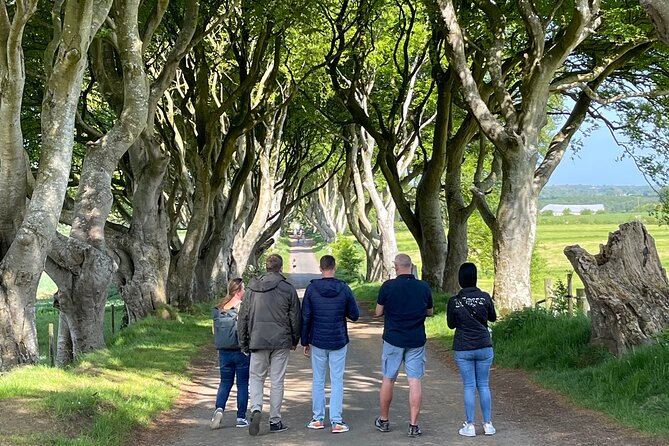 Luxury Tour of Giants Causeway from Belfast - Dunluce Castle sits above the sea