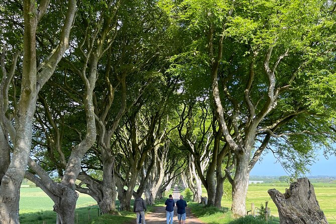 Luxury Tour of Giants Causeway from Belfast - The Giant’s Causeway is the day’s main event