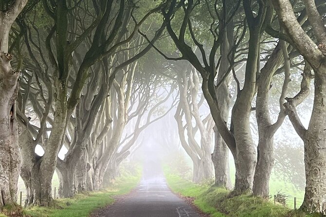 Private Coast Tour in Belfast - Price, group size, and what is included