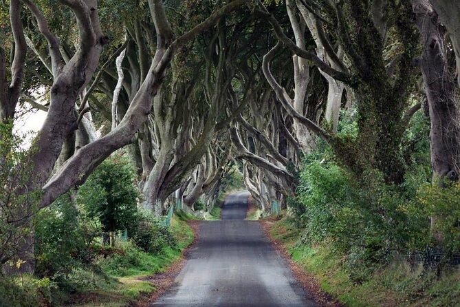 Private Giant's Causeway Tour including Game of Thrones Sites - The value of a private vehicle and guide