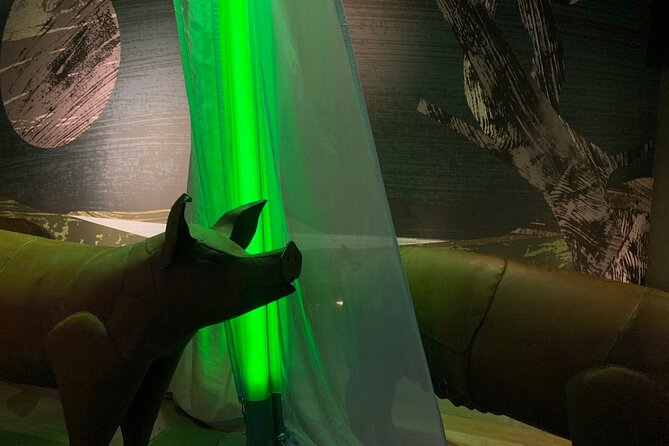 Saint Patrick Centre Exhibition experience - Who will enjoy this exhibition most?