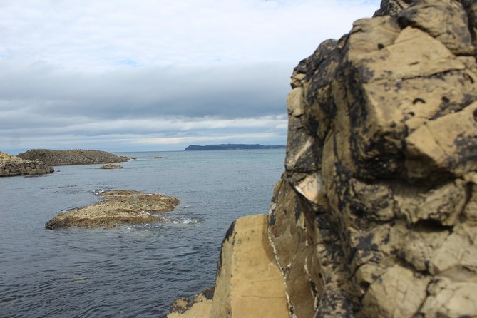 Small Group Giant's Causeway Day Tour from Belfast - What the local guide adds