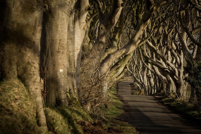 Titanic Experience and Giant's Causeway tour from Belfast - What the $90.19 price really covers